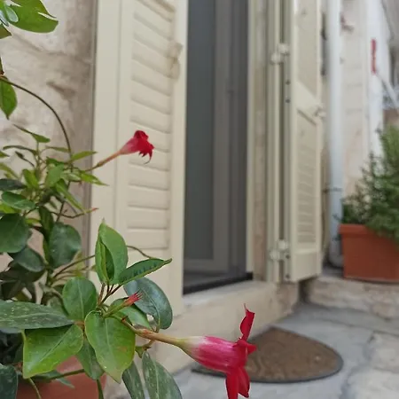 Tatil Evi Casetta Elilu *