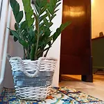 Casetta Elilu Tatil Evi *