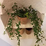 Casetta Elilu * Ostuni